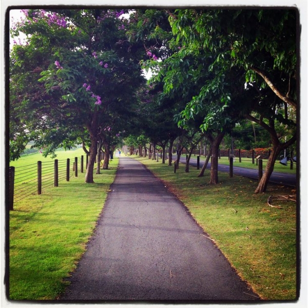 383b369b93fecee7f9275b86f6b2ee4e