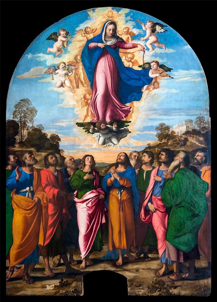 Accademia_-_Assumption_of_the_Virgin_by_Palma_il_Vecchio.jpg